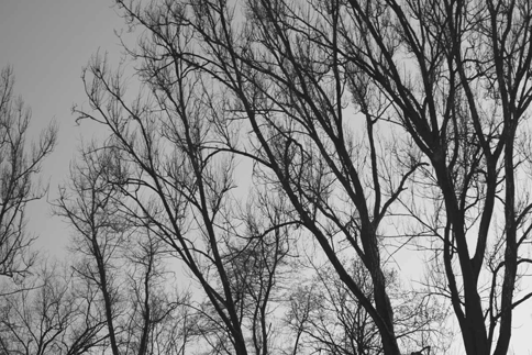IMG_03_bw