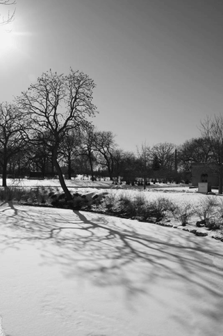 IMG_04_bw