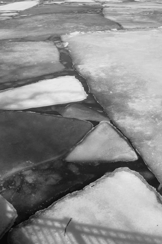 IMG_03_bw