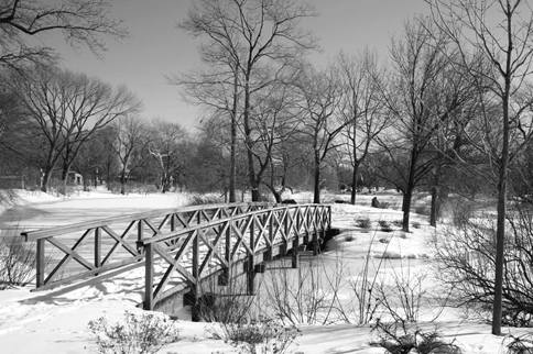 IMG_03_bw