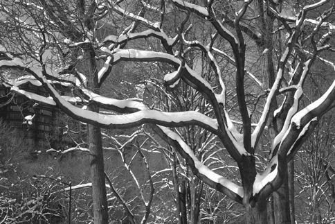 IMG_04_bw