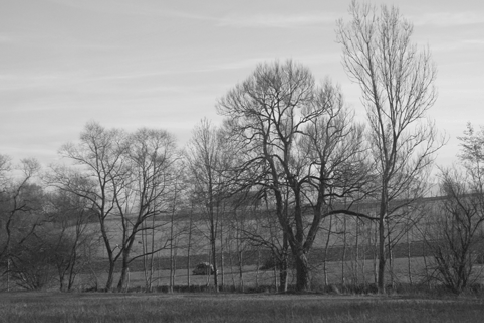 IMG_03_land
