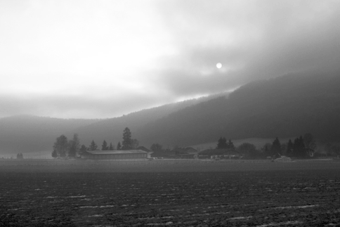 IMG_03_land