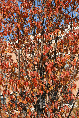 IMG_03_misc